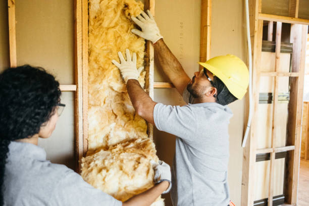 Best Wall Insulation Installation  in Pratt, KS